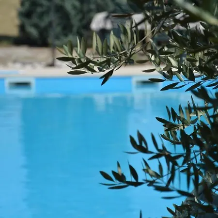 Casinella *